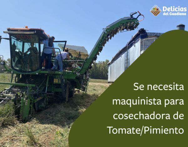 maquinista maquinista