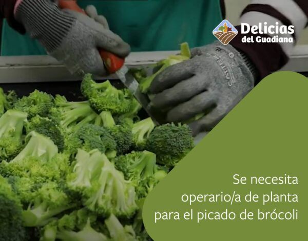 operario-planta operario-planta